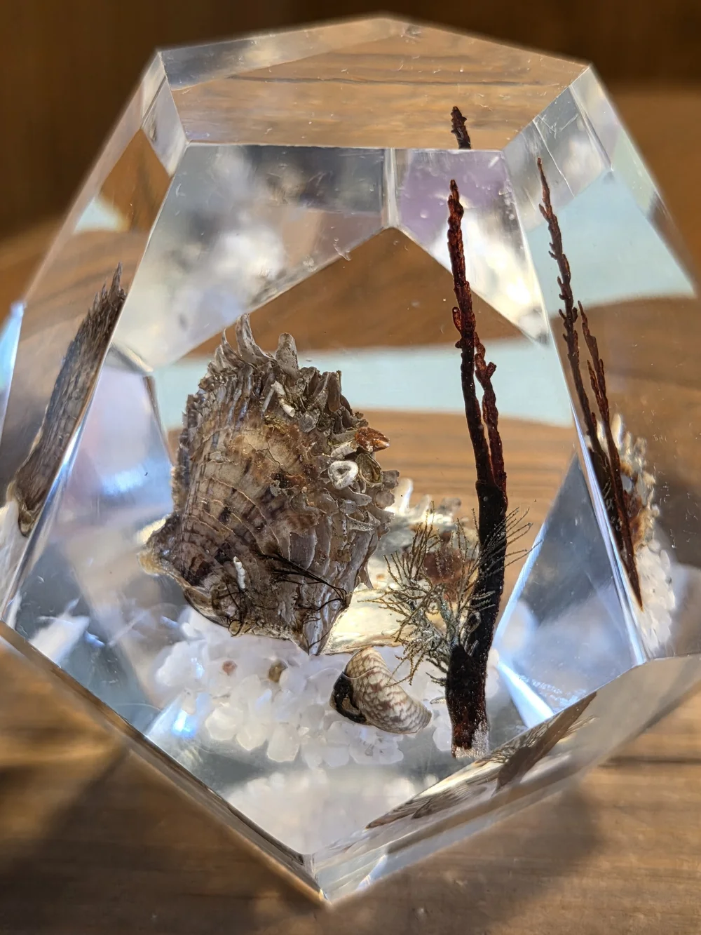 VTG Faceted Lucite Coastal Oyster Paperweight
